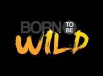 Born To Be Wild May 11 2025